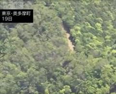 山中で遺体発見 クマなどに襲われた可能性 東京・奥多摩町 警視庁のイメージ画像