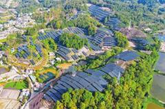 中国最大規模の「茶光補完」発電所が系統接続―雲南省のイメージ画像