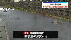 女子中学生を強盗致傷容疑で逮捕 顔面にスプレー噴射しひったくりか 埼玉・春日部