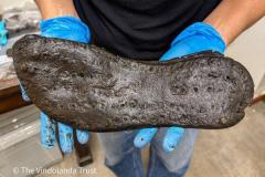イングランドにある古代ローマの砦から、特大サイズの革靴を発見のイメージ画像