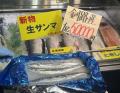 サンマが1匹“5万円”－大きいもので17..