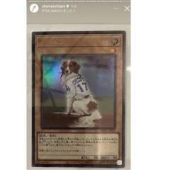 【幸せの天使】デコピン「遊戯王カード化」の衝撃。一体どこで手に入るのか？