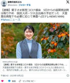 愛子さま新型コロナ感染5日からの滋賀県訪問は取りやめ、国民スポーツ大会出席の予定だった天皇皇后両陛下も検査へのイメージ画像