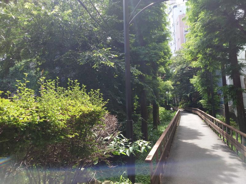 新宿遊歩道公園のイメージ画像
