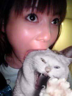 猫飼いあるある 飼い猫のかまってアピールについ ニュース総合掲示板 ローカルクチコミ爆サイ Com関西版