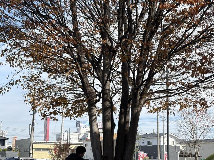 伊勢崎ガーデンズ周辺のイメージ画像