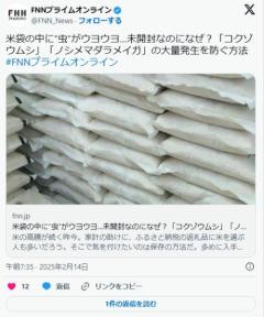 【コメ】米袋の中に“虫”がウヨウヨ…未開封なのになぜ？「コクゾウムシ」「ノシメマダラメイガ」の大量発生を防ぐ方法