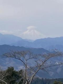 高尾山のイメージ画像