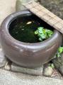 広川ひかる、乳がん術後２年８ヶ月の..