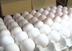 卵1パック308円 去年12月の最高値に並ぶ 農水省の食品価格動向調査のイメージ画像