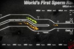 精子が泳ぐ速さを競う「精子レース」L.A.で開催、ライブ動画がまるでF1グランプリ