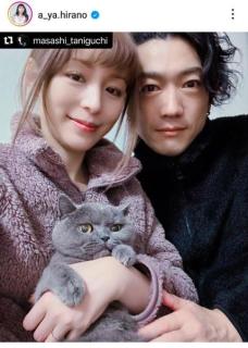 交際0日婚平野綾がDV離婚のイメージ画像