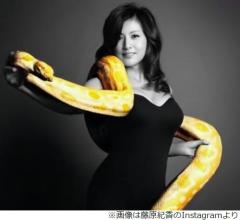 藤原紀香“事務所破産”で独立、ケイダッシュと業務提携発表