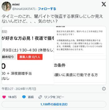 【ホワイト案件】深夜に住宅街で猫を探すバイトです^^