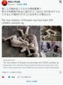 【画像】火砕流に呑まれた古代の二人..