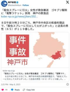 「殺虫スプレーに引火」女性が救急搬送 ゴキブリ駆除に「電撃ラケット」併用 神戸の飲食店のイメージ画像