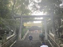 こんぴらさんの階段のイメージ画像