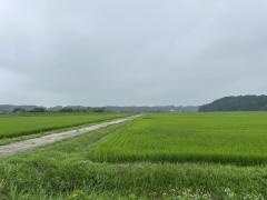 東北町県道8号線（二ッ森橋付近）のイメージ画像