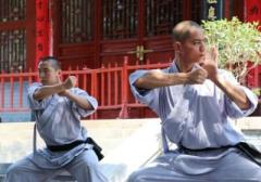 少林寺で中国拳法の魅力に迫る―中国メディアのイメージ画像