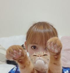 中川翔子、猫になっちゃった？愛猫と“同化”した写真が、ねこ好きファンに大好評。のイメージ画像
