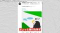 【北方領土】佐倉あましんが「北方領..