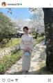 谷まりあ、桜を見に京都へ… 美しい着..