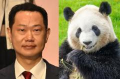 崖っぷち「二階元幹事長の息子」が訴える「中国から再びパンダを！」 【参院選和歌山選挙区】のイメージ画像