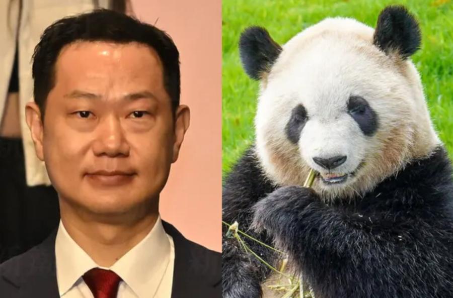 崖っぷち「二階元幹事長の息子」が訴える「中国から再びパンダを！」 【参院選和歌山選挙区】