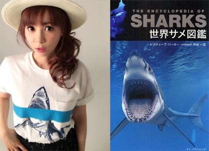 中川翔子 イラスト盗用疑惑で掘り返される過去の騒動
