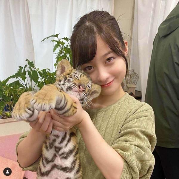 橋本環奈、赤ちゃん虎との2ショットに称賛の声「キュン死しちゃう」
