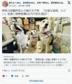 【神奈川県警】押収の犬猫行方不明「..