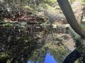 山吹水源