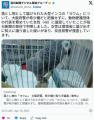 落とし物の「ヨウム」大阪府警、希少..