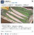 初セリ10万の秋刀魚が失敗