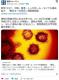 新型コロナ、中国・香港・シンガポール・タイでも感染拡大「懸念すべき状況」韓国紙報道(産経新聞)