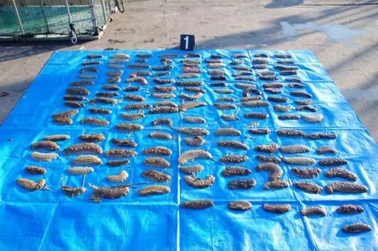  Apple、Google、その他が密漁防止集団訴訟で4億1,500万ドルの増額和解金を提示