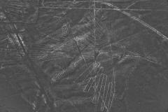ナスカの地上絵がピンチ？ペルー政府が保護地域を半分に縮小すると発表のイメージ画像