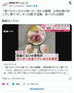 【鹿児島】男(80代)「食べたかったから食べた」公衆浴場ボンタン湯でボンタン20個盗難、食べられる被害のイメージ画像