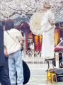 南京市でまた和服女性が写真撮影、中..