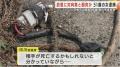 故意にセンターラインはみ出し対向車に正面衝突させたか…殺人未遂容疑で51歳女を逮捕 被害者とは面識がなく 岩手県