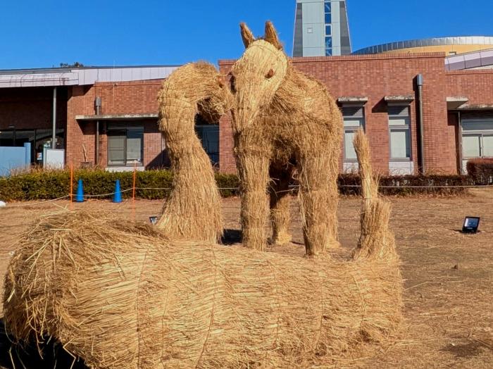 田んぼアート後の藁のイメージ画像