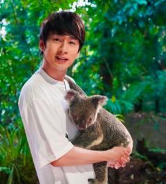 KAT-TUN・中丸雄一、コアラを抱っこで優しい微笑み！可愛い×可愛いの最強コラボに癒されるのイメージ画像