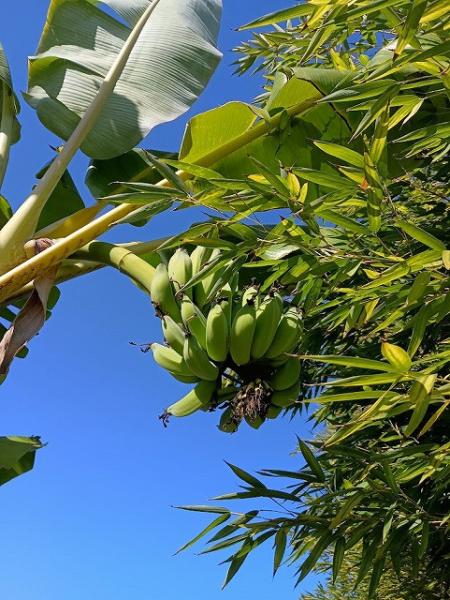 カテゴリーダー記事画像