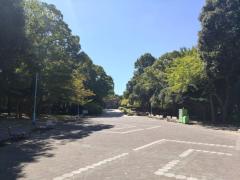 春日公園 自由広場のイメージ画像