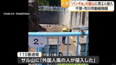 「パンチ君」の猿山に外国人2人が侵入 威力業務妨害の疑いで逮捕へ 「市川市動植物園」観覧エリア一部封鎖で営業 千葉