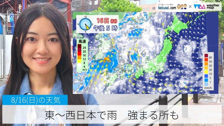 東～西日本で雨 強まる所ものイメージ画像