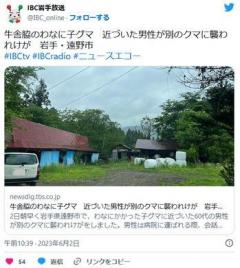 男性（60代） 「おーおー。クマが罠にかかっとる。ちっこい子熊じゃのう・・・・・・子熊だと？」