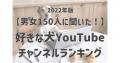 【YouTube】好きな「犬チャンネル」 ラ..