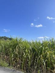 沖縄南部のイメージ画像