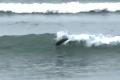 NZの海岸で、アザラシがサーファーのように波乗り！【動画】
